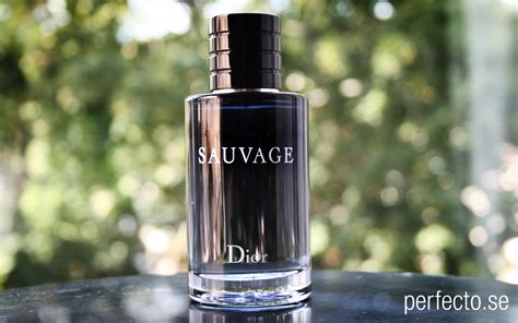 dior sauvage herrparfym|françois demachy Dior.